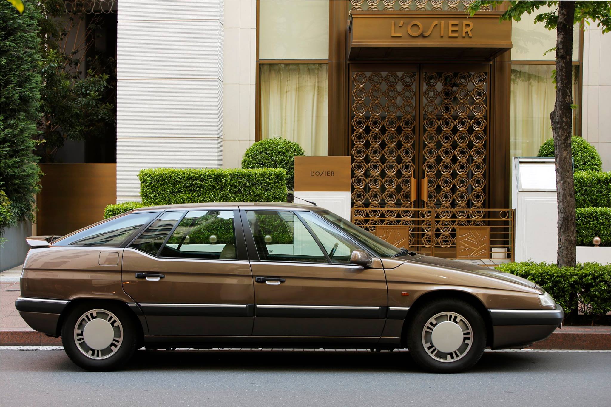 xm beige 01
